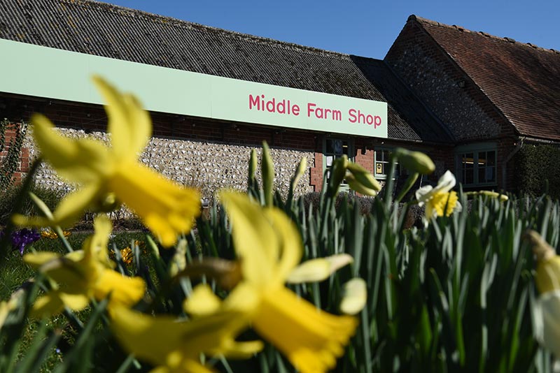 Middle Farm | Open Farm