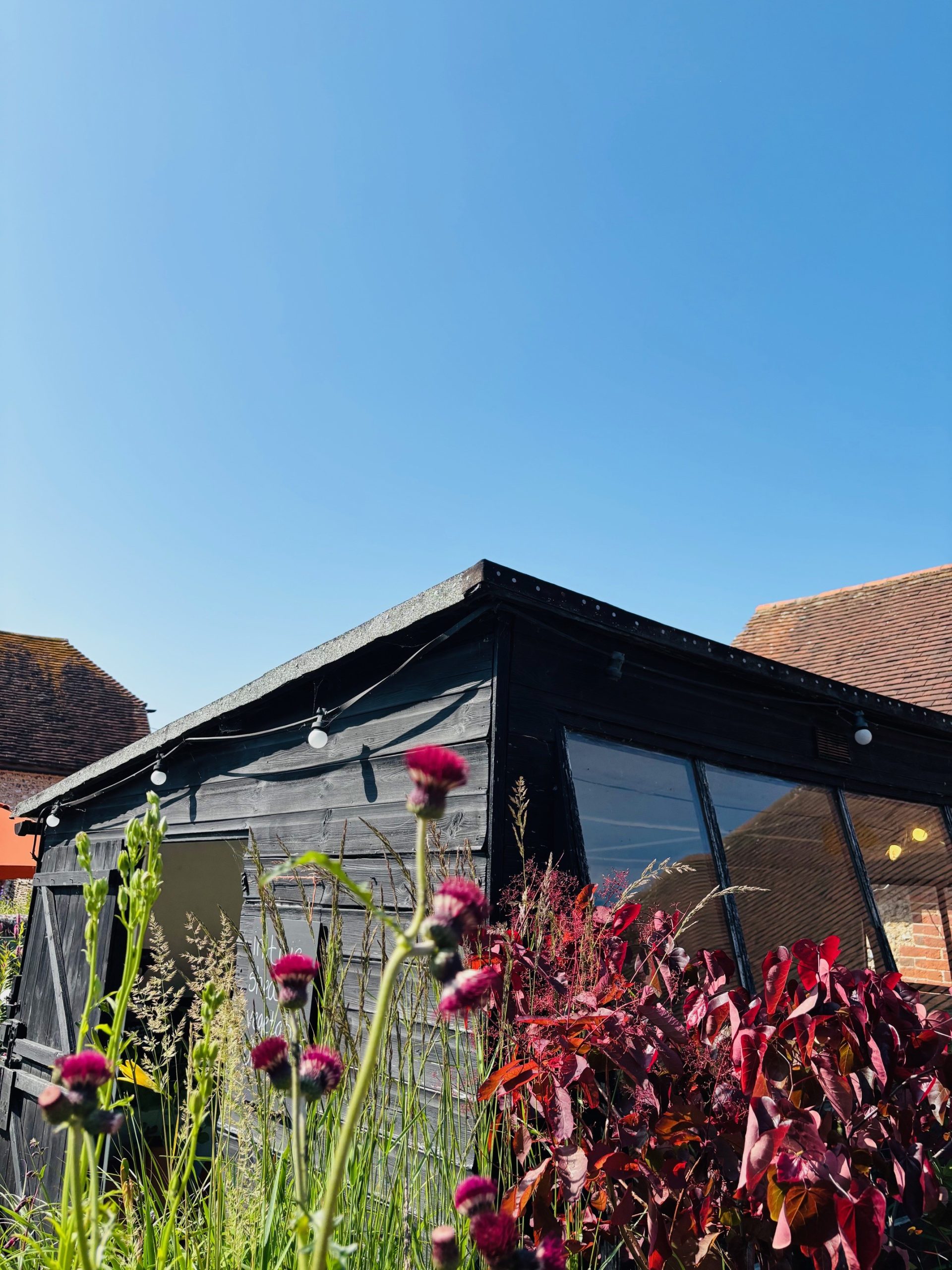 Middle Farm | Sussex Open Farm and Farm Shop