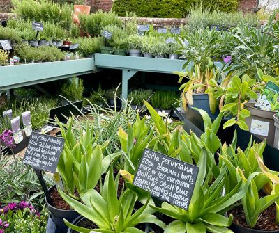 Middle Farm | Sussex Open Farm and Farm Shop