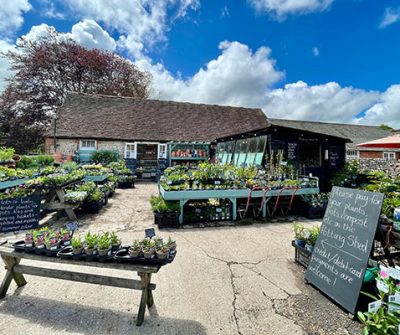 Middle Farm | Sussex Open Farm and Farm Shop