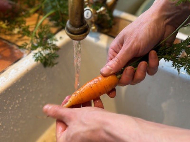 Middle Farm | Sussex Open Farm and Farm Shop
