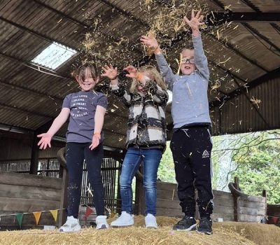 Middle Farm | Sussex Open Farm and Farm Shop