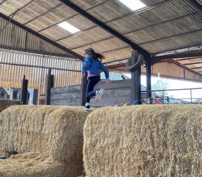 Middle Farm | Sussex Open Farm and Farm Shop